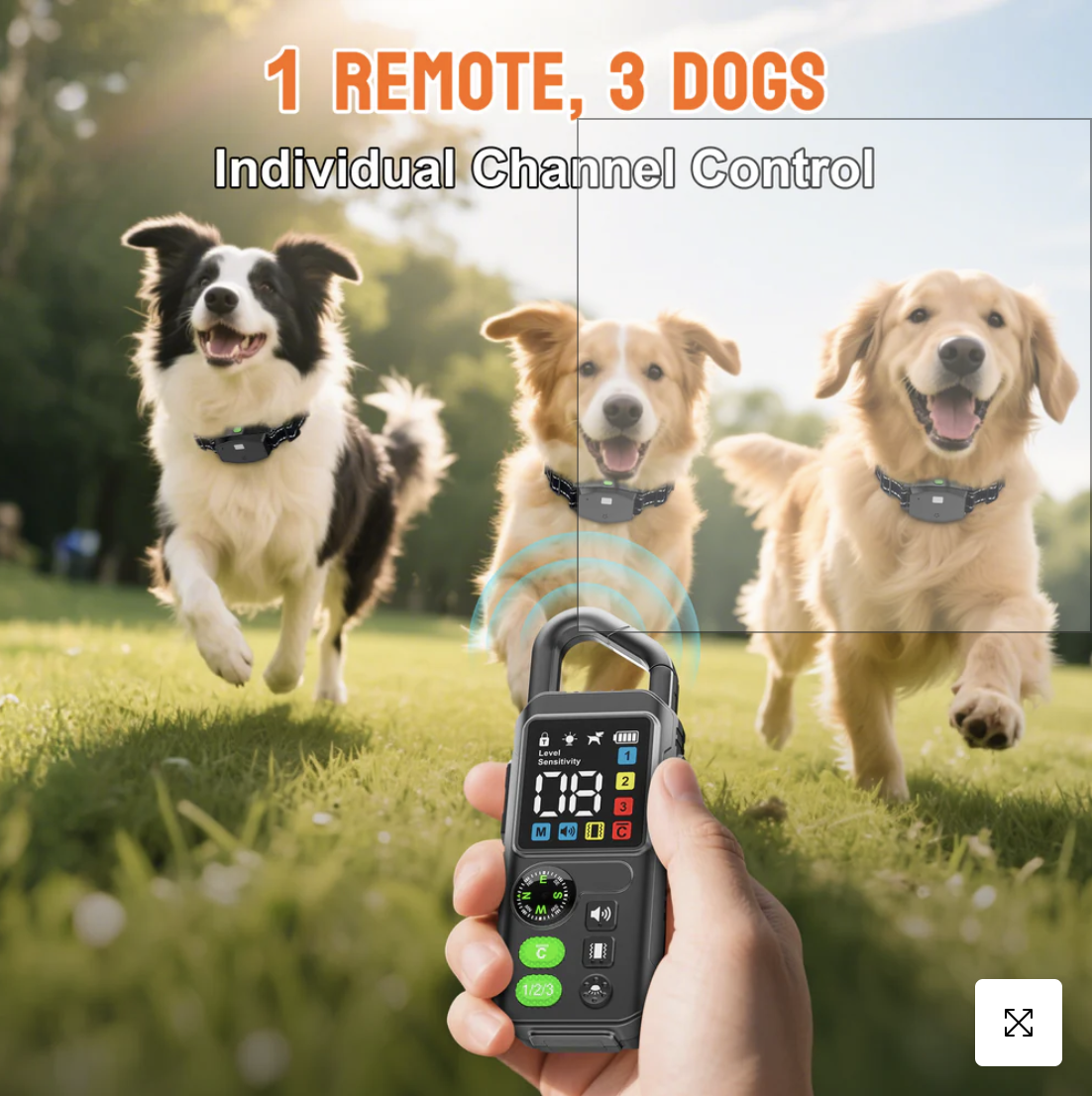 PetHey 3 in 1 Remote Dog Trainer T810
