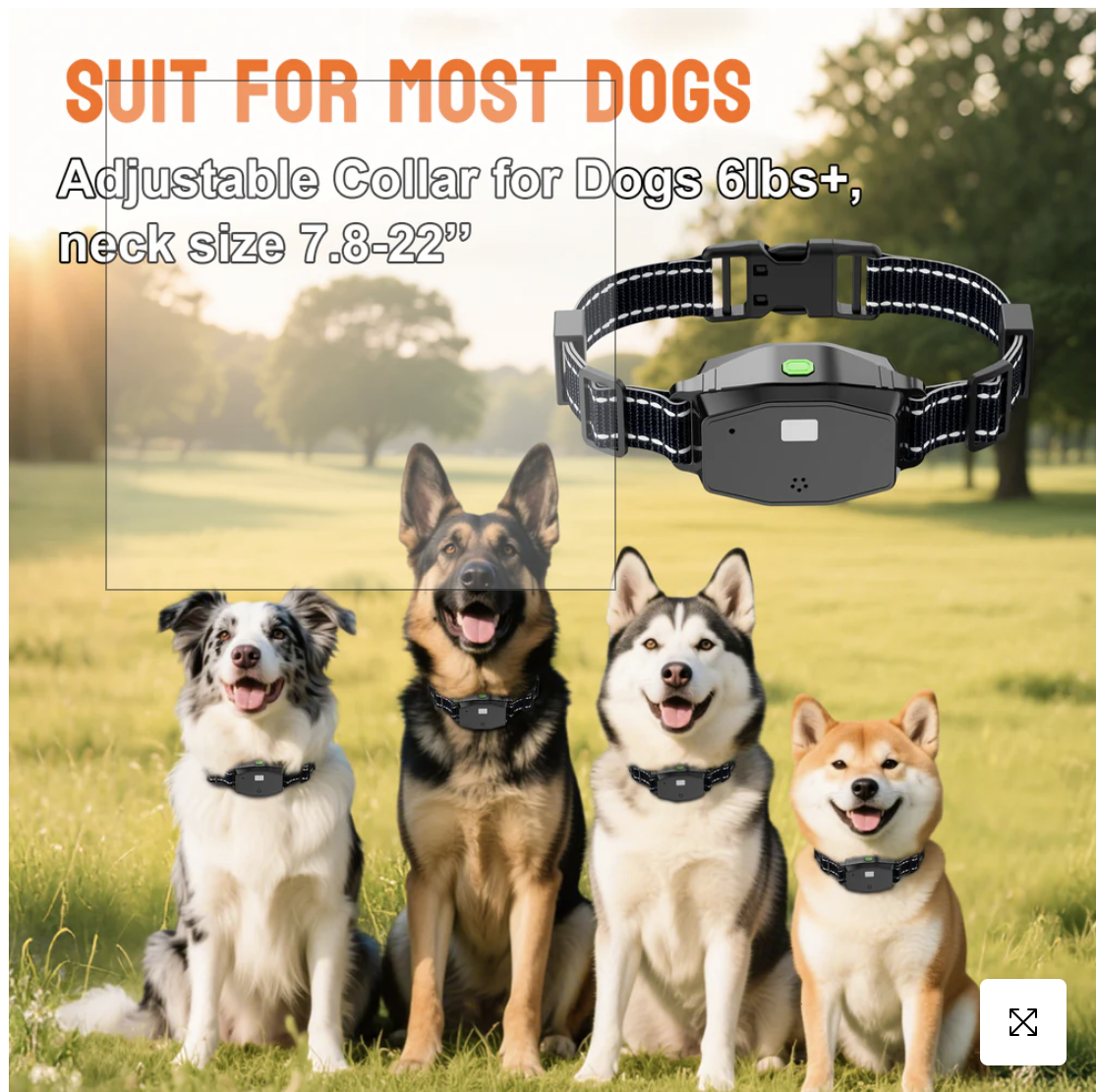 PetHey 3 in 1 Remote Dog Trainer T810