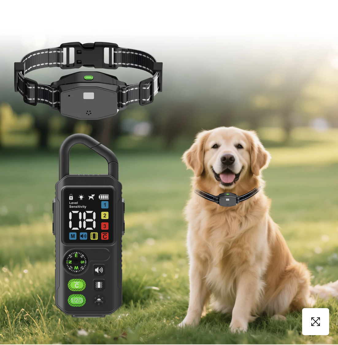 PetHey 3 in 1 Remote Dog Trainer T810