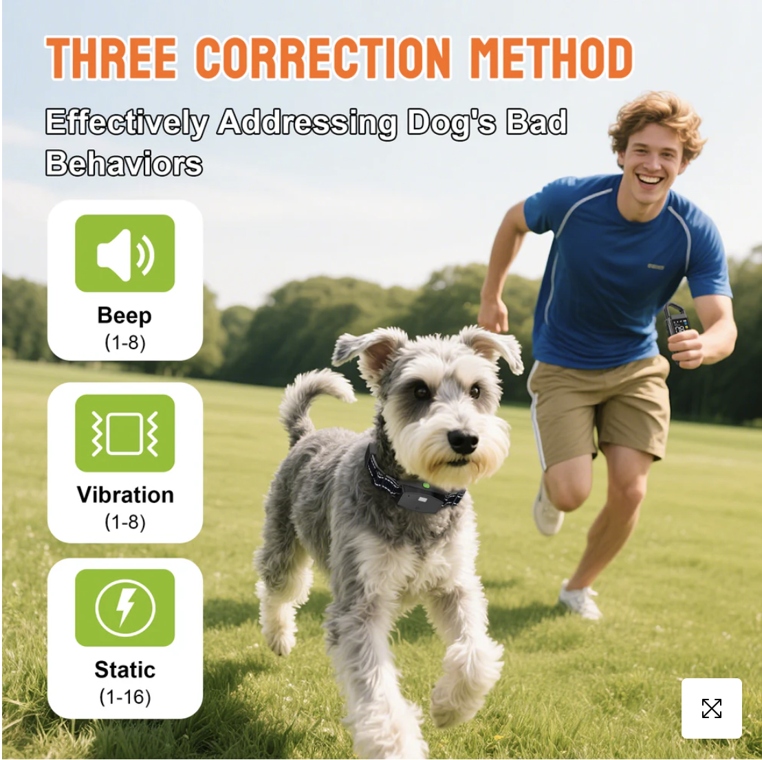 PetHey 3 in 1 Remote Dog Trainer T810